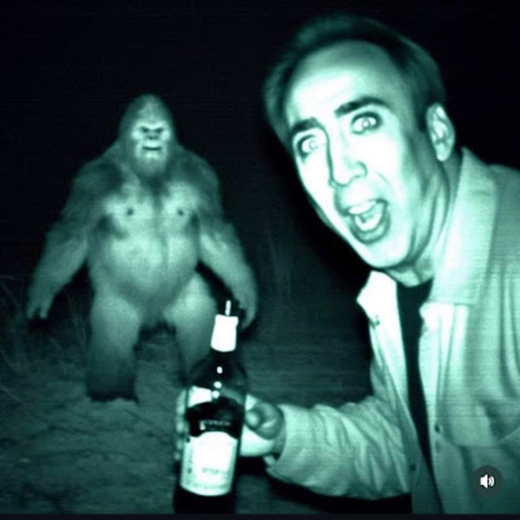 Meet your Posher, David - Picture 1 of 1